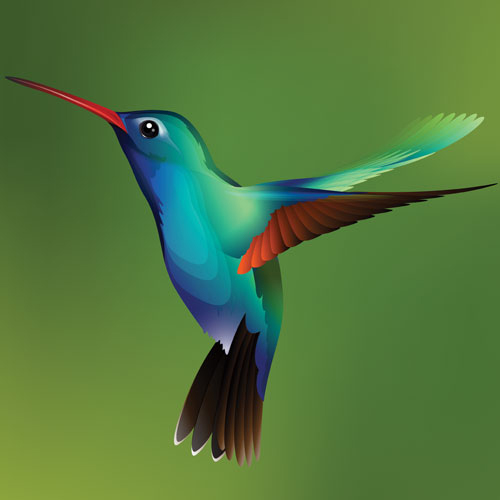 hummingbird picure, Creates a Happy State
